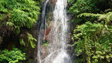 Çevresi yosunlu kayalar ve Endonezya 'daki taze dağ havası ile çevrili, yemyeşil bir ormandan akan doğal bir şelale ya da Curug Cidefial seyahat ve doğa temaları için mükemmel bir yer.