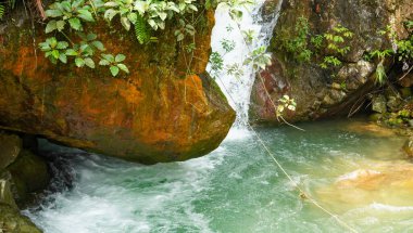 Temiz su, yosun kaplı taşlardan akarak sakin bir orman ortamında doğanın saf güzelliğini gözler önüne seriyor.