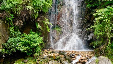 Canlı yeşillik ve doğal kaya oluşumlarıyla serinletici şelale sahnesi açık havanın dokunulmamış güzelliğini gözler önüne seriyor.