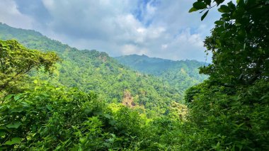 Yumuşak beyaz bulutlarla dağılmış canlı mavi gökyüzünün altındaki yemyeşil bir ormanın nefes kesici manzarası. Yoğun ağaçlar ve zengin yapraklar barışçıl bir doğal ortam yaratır. 