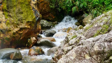 Temiz ve hızlı akan su, yeşil ormanın derinliklerindeki doğal bir şelaleden gelen büyük kayalar arasında güçlü bir şekilde hareket eder.