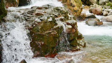 Dinamik beyaz su yemyeşil bir orman ortamında yosunlu kayaların arasından akıyor. Çevresel gücü, canlılığı ve çevreci farkındalığı göstermek için birebirdir.