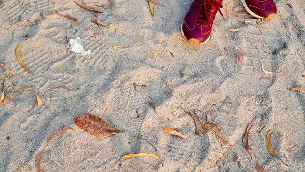 Soluk kumlu zeminde kuru kahverengi yapraklar ve ayakkabılar ile minimalist doğa arka planı. Sonbahar, ekoloji, kuraklık, açık hava dokuları ve çevre değişikliğiyle ilgili konular için ideal