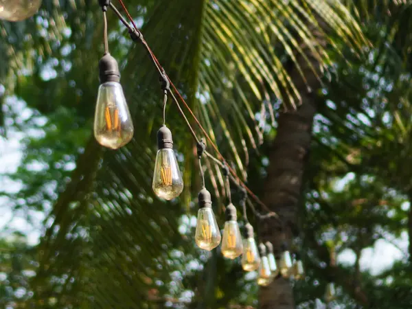 Kehribar renkli asma ampulleri rüzgarda hafifçe sallanıyor, ağaçların altında sıcak ve davetkar bir atmosfer yaratıyor.