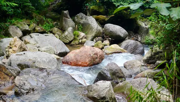 Tropik bir şelalenin tabanındaki engebeli kayaların arasından temiz ve soğuk bir dere akar. Sahne, yosunlu yüzeyleri kesen köpüklü suyla doğanın gücünü ve dinginliğini yakalıyor. Doğal görünüm
