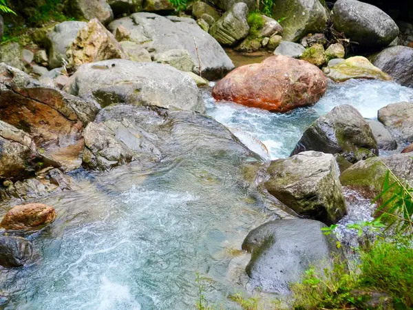 Yamaçtaki bir şelaleden akan nehir suyu ıslak taşların üzerinden hızla akar.