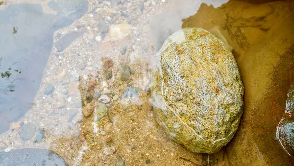 Yuvarlak bir taş, kristal berrak suyun altında, küçük çakıl taşları ve doğal dokularla çevrili, kumlu bir nehir yatağında bulunur. Huzur, doğa saflığı ve çevre sakinliği temaları için idealdir.