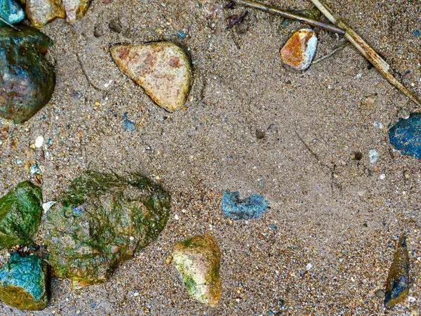 Küçük kayalarla dağılmış kahverengi kumların doğal arkaplanı sert ve topraksı bir doku yaratır. Arkaplan, arkaplan ya da doku olarak kahverengi kum