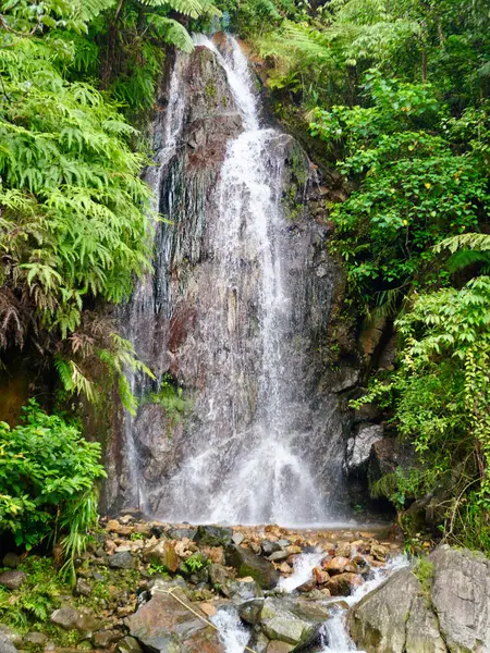 Canlı yeşillik ve doğal kaya oluşumlarıyla serinletici şelale sahnesi