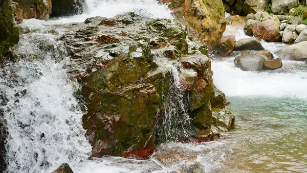 Dinamik beyaz su yemyeşil bir orman ortamında yosunlu kayaların arasından akıyor. Çevresel gücü, canlılığı ve çevreci farkındalığı göstermek için birebirdir.