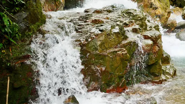 Dinamik beyaz su yemyeşil bir orman ortamında yosunlu kayaların arasından akıyor. Çevresel gücü, canlılığı ve çevreci farkındalığı göstermek için birebirdir.