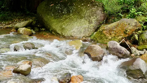 Tropik bir şelalenin tabanındaki engebeli kayaların arasından temiz ve soğuk bir dere akar. Sahne doğanın gücünü ve huzurunu yakalıyor.