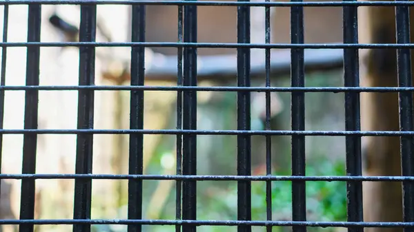 Dayanıklılığını, temiz çizgilerini ve metalik yüzeyini vurgulayan sağlam çelik çitin detaylı çekimleri.