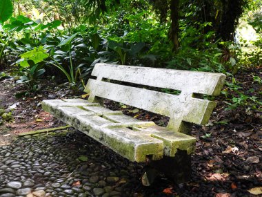 Karanlık bir orman yolunda yosun ve hava lekeleri olan eski bir taş bank. Canlı bitkiler ve doğal dokularla çevrelenmiş bu sahne huzuru ve kırsal cazibeyi çağrıştırıyor.