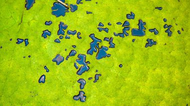 Dev nilüferlerin doğal dizilişi, sakin su yüzeyinde soyut bir kalıp oluşturuyor. Botanik ve doğa temaları için ideal. Dev nilüfer yaprağı dokusu