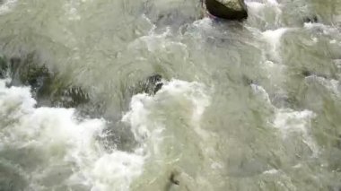 Yeşil çevreli doğal kayaların üzerinden sorunsuzca akan yeni bir nehir akışının videosu, doğa, sükunet ve çevre temaları için mükemmel.