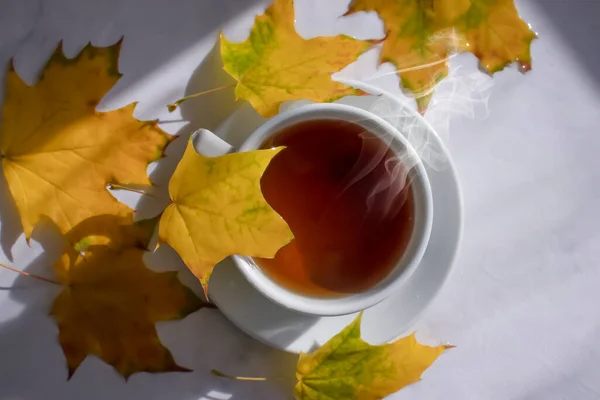 Tasse Tee Herbst Blatt Auf Einem Hellen Hintergrund — Stockfoto