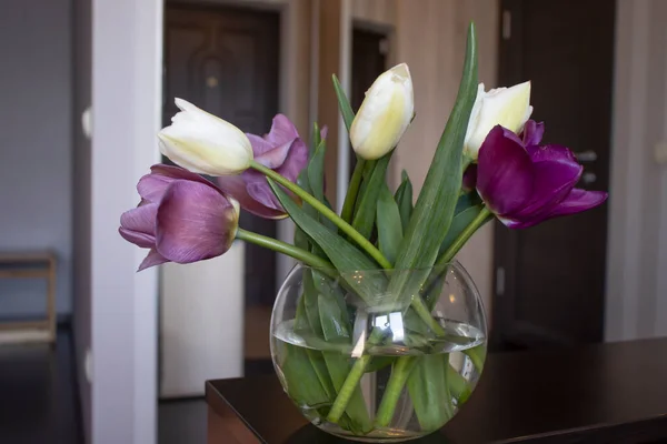 Аромат Красивых Весенних Тюльпанов Номере — стоковое фото