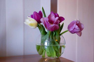 Odada bir buket güzel bahar lalesi