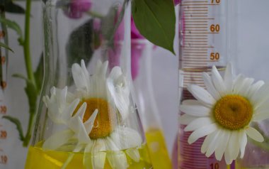 Işık arkaplan üzerinde laboratuvar şişesi çiçeği