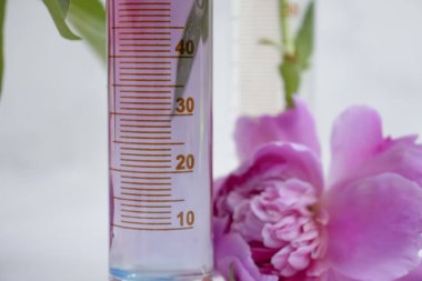 Işık arkaplan üzerinde laboratuvar şişesi çiçeği