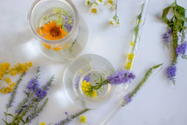 Laboratory flask, flower on a light background