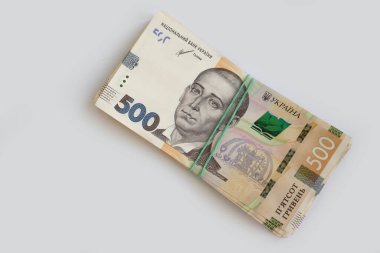 Hafif arkaplanda Ukrayna Hryvnia 'sı