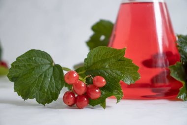 Laboratuvar tüpü viburum böğürtlenleri hafif arka planda