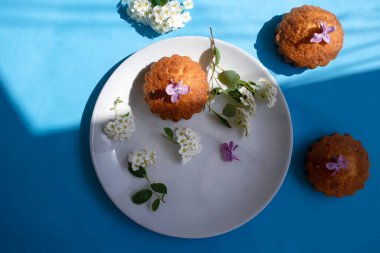 Renkli arkaplanda enfes bir kek çiçeği