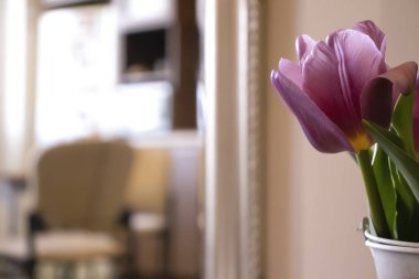 Bouquet of tulips in a vase in a room