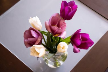 Bouquet of tulips in a vase in a room
