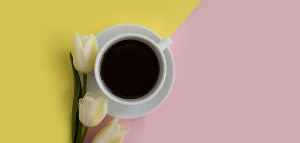 コーヒー チューリップの花のカップの色の背景 — ストック写真
