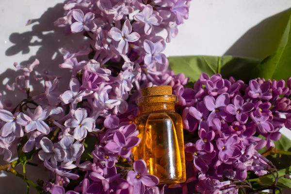 Cosmetic Oil Lilac Flower Light Background — Stock Photo, Image