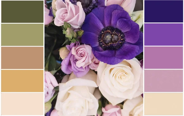 Beautiful Rose Flower Bouquet Color Swatch — Stock Photo, Image