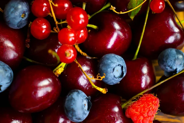 美丽的新鲜浆果和水果背景 — 图库照片
