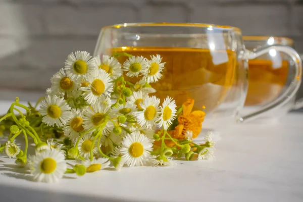 Herbata Świeżym Rumiankiem Jasnym Tle — Zdjęcie stockowe