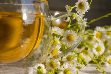 Hafif bir arkaplanda taze papatya çayı