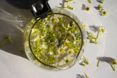 Otlu çay, papatya çiçeği.