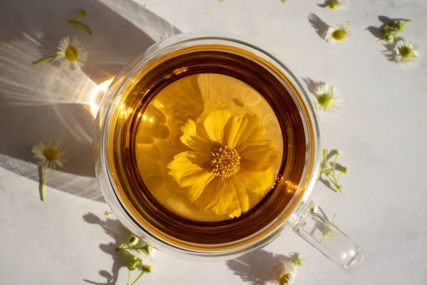 Otlu Çay Papatya Çiçeği — Stok fotoğraf