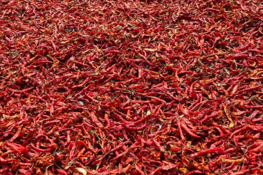 Güneşte kurutulmuş kırmızı biberlerin yakın çekimi canlı ve baharatlı bir doku yaratıyor. Yemek, baharat, tarım ve aşçılık geçmişi için ideal..