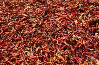 Bol kırmızı ve turuncu tonlara sahip güneşte kurutulmuş kırmızı biber yığınına yakın çekim. Yemek, baharat, tarım ve aşçılık geçmişi için mükemmel..