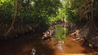 Turistler dar, gölgeli nehir kanalı, yoğun yağmur ormanları tepe örtüsü, Amazon çöllerinde süzülen küçük tekneyi çevreleyen canlı yeşillik..
