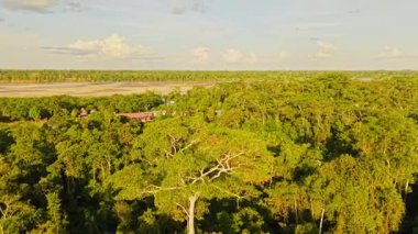 Ekvador 'daki genişleyen Amazon yağmur ormanlarını kapsayan hava manzarası, yoğun tropikal alanlarda gizlenmiş huzurlu nehir kulübesinde yeşil bir tepe..