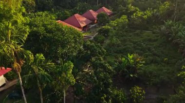 Yeşil orman, Ekvador 'daki Amazon yağmur ormanlarının derinliklerinde saklı canlı kırmızı çatıları olan kırsal ahşap kulübeleri, huzur dolu vahşi doğa sığınaklarını kapsar..