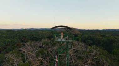 Sarışın bir kadın yolcuyla ahşap gözlem platformunun havadan görünüşü Ekvador 'daki bereketli Amazon yağmur ormanları boyunca altın günbatımı manzarasını gözler önüne seriyor..