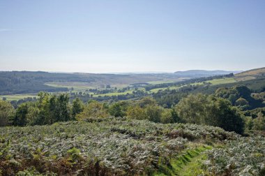 Güneşli gün manzarası Strathblane üzerinden Kilpatrick tepelerine, NS 612 801 'den Crow Road, B822' ye, Lennoxtown, Doğu Dunbartonshire, Orta İskoçya 'ya..