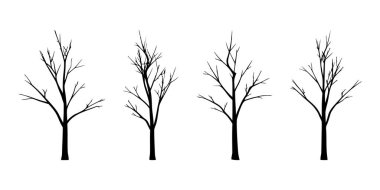 Kışın yaprak döken ağaç siluetlerinden oluşan dört saf, siyah siluet. Çıplak dalları, temiz beyaz arka plana karşı hassas ve karmaşık desenler oluşturuyor..