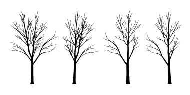 Grafik çiziminde dört farklı, ince ağaç ve karmaşık yapraksız dallar yer alır. Simsiyah siluetler temiz beyaz bir zemin üzerinde duruyor. Kış ya da uyku hissi uyandırıyor..