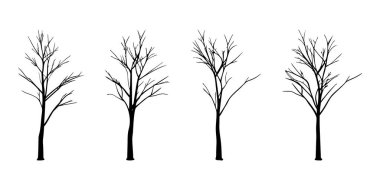 Dört yapraksız ağacın yer aldığı sade ve minimalist bir çizim. Karmaşık, dallanan yapıları siyah bir siluet oluşturarak saf beyaz zemin üzerinde çarpıcı bir kontrast oluşturuyor..