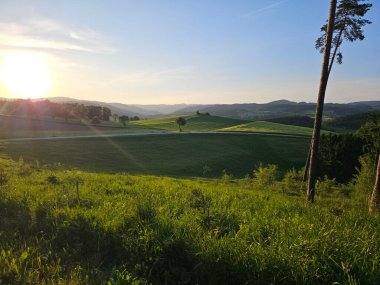 Sabah ışığı, çayırlar ve sabah ışığı, ilkbahar kırsal manzarasının panoramik manzarası.